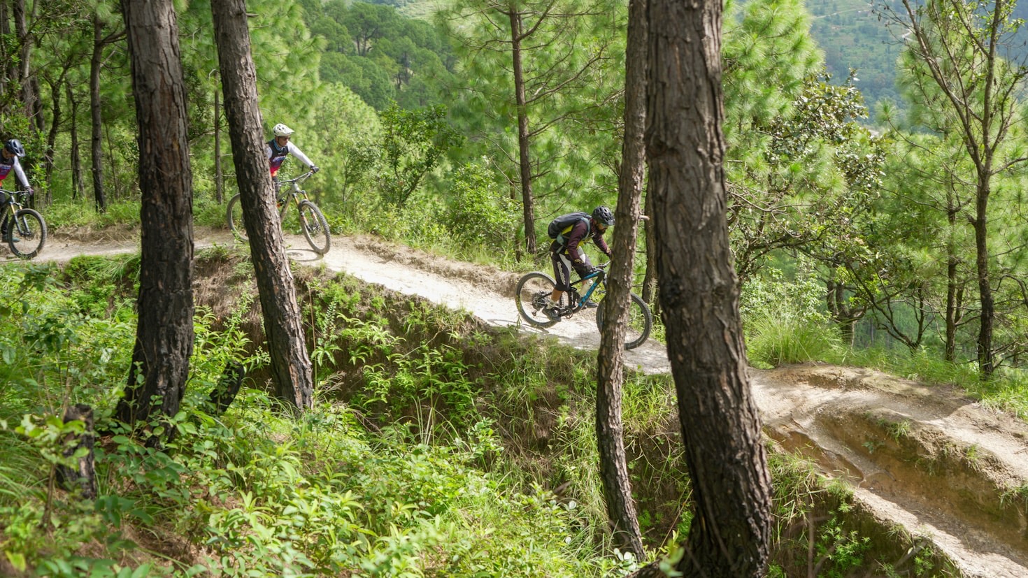 Warum E-Bike Touren die Natur verändern